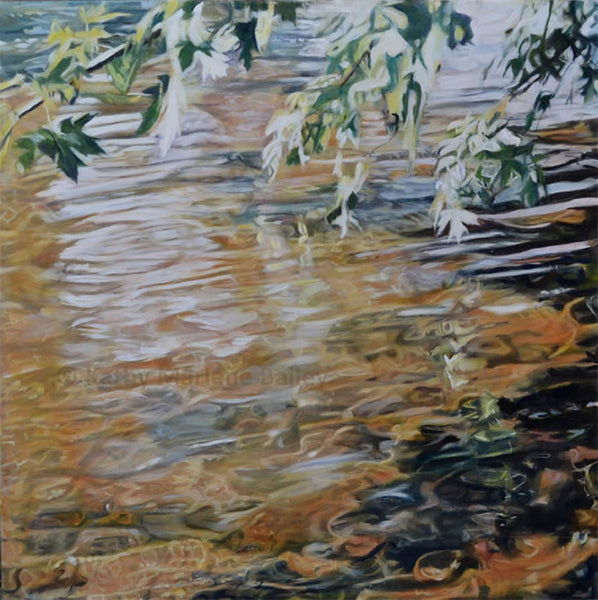 "Intimate Canopy", Gull River Series